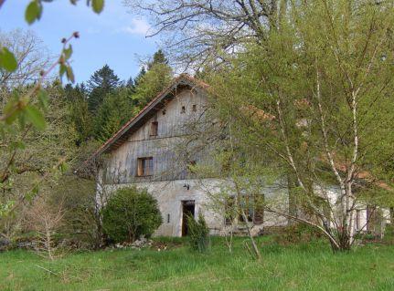 notre maison au printemps