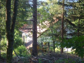 La Salomé depuis la forêt, en été